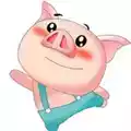 猪猪影视app